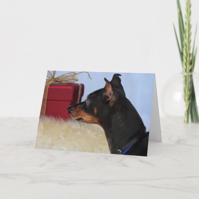 Cartão De Festividades Looking for Santa Min Pin Dog Card (Frente)