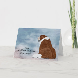 Cartão De Festividades Loss of St Bernard Condolence Sympathy Card
