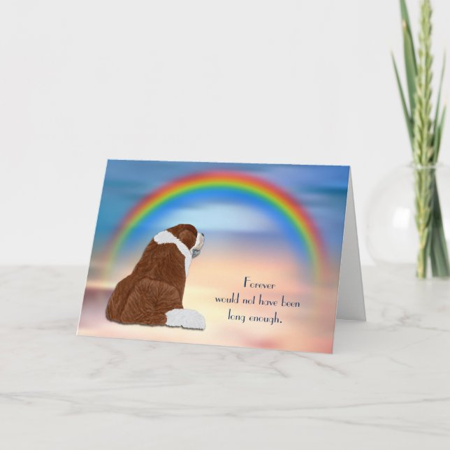 Cartão De Festividades Loss of St Bernard Dog Rainbow Sympathy Card (Frente)