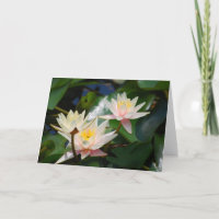 Lotus flower and meaning