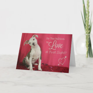 Cartão De Festividades Love at first sight puppy love card
