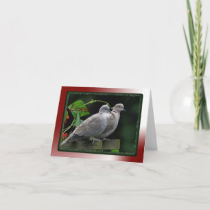 Cartão De Festividades Love Birds card