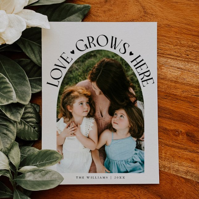 Cartão De Festividades Love Grows Here White Arch Valentines Day (Criador carregado)