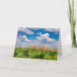 Cartão De Festividades Lush Farmland, South Africa