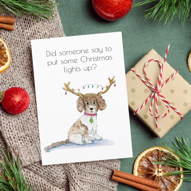Cartão De Festividades Luzes de Natal de Labradoodle com Antílope em Aqua (Criador carregado)