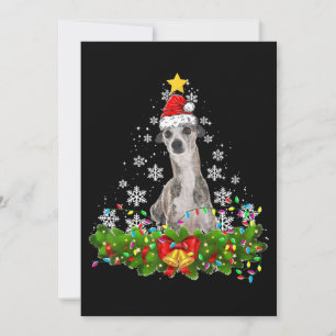 Cartão De Festividades Luzes de Natal whippet cachorro engraçado pet nata