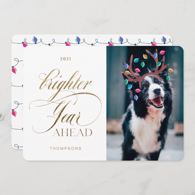 Cartão De Festividades Luzes de Rebelde Fotográficas de Reprodução de Pet (Frente/Verso)