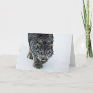 Cartão De Festividades Lynx Winter