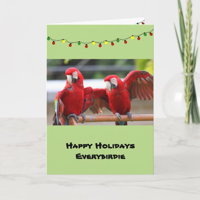 Cartão De Festividades Macaw Pals Christmas Card, envelopes included (Frente)