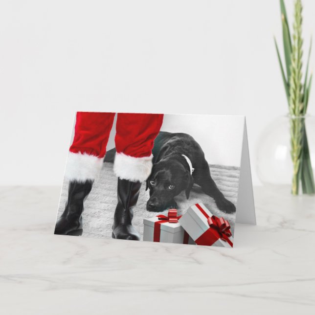 Cartão De Festividades Madison the Black Labrador Christmas Card (Frente)