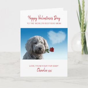 Cartão De Festividades Mãe de Cachorro Dia dos Namorados Foto de Animal d