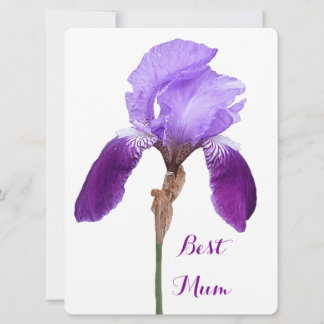 Cartão De Festividades Mãe feliz, bonito, íris roxa floral 4