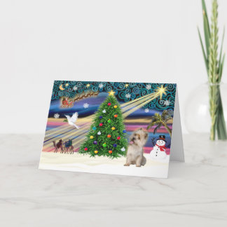 Cartão De Festividades Magia de Natal-Cairn wheaten