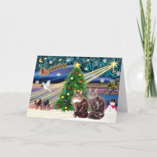Cartão De Festividades Magia de Natal - Dois gatos Maine Coon