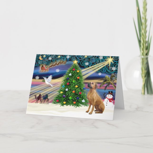 Cartão De Festividades Magia de Natal Rhodesian Ridgeback 1 (Frente)