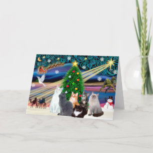 Cartão De Festividades Magia de Natal - Seis gatos (variedade)
