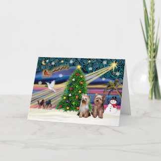 Cartão De Festividades Magia de Natal - Yorkshire Terriers (dois)