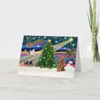 Cartão De Festividades Mágica de Natal-Poodle-Brinde-Damasco