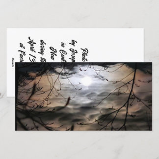 Cartão De Festividades Magickal Moonscape (dentro de vazio)