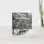 Cartão De Festividades Mail Carrier's Christmas Card<br><div class="desc">Pretty snowy scene with snow covered mail boxes lined up on the road.  Great Christmas card for your local mailman.  Change the text to anything you want,  inside and out.</div>