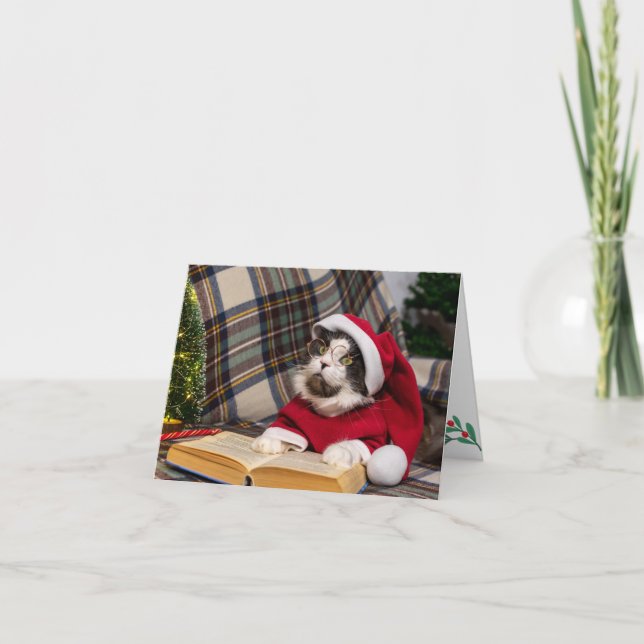 Cartão De Festividades Maine Coon Cat Retrato de Natal (Frente)