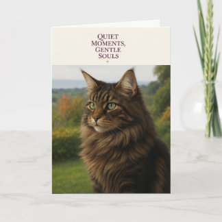 Cartão De Festividades Maine Coon Cat Sympathy & Thinking of You Card 