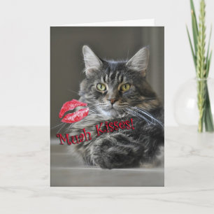 Cartão De Festividades Maine Coon Cat Valentine's Greeting Card