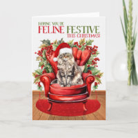 Maine Coon Christmas Cat FELINE Festivo