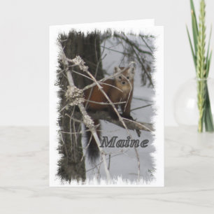 Cartão De Festividades Maine Wildlife - Pine Marten