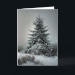 Cartão De Festividades Majestic Winter<br><div class="desc">a line tree on a cold winters morning</div>