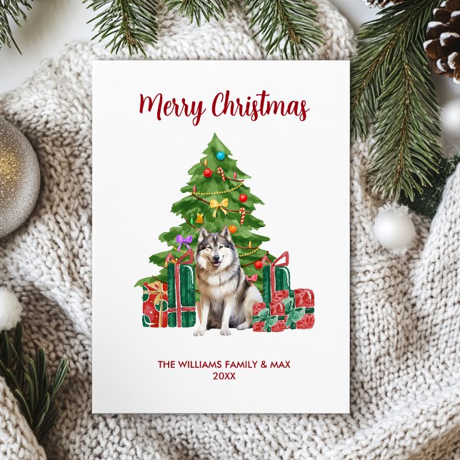 Cartão De Festividades Malamute Dog Family Christmas (Criador carregado)