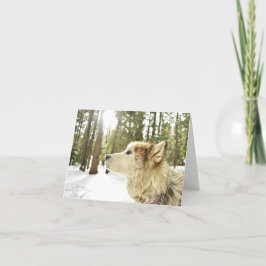 Cartão De Festividades Malamute em Snowy Woods