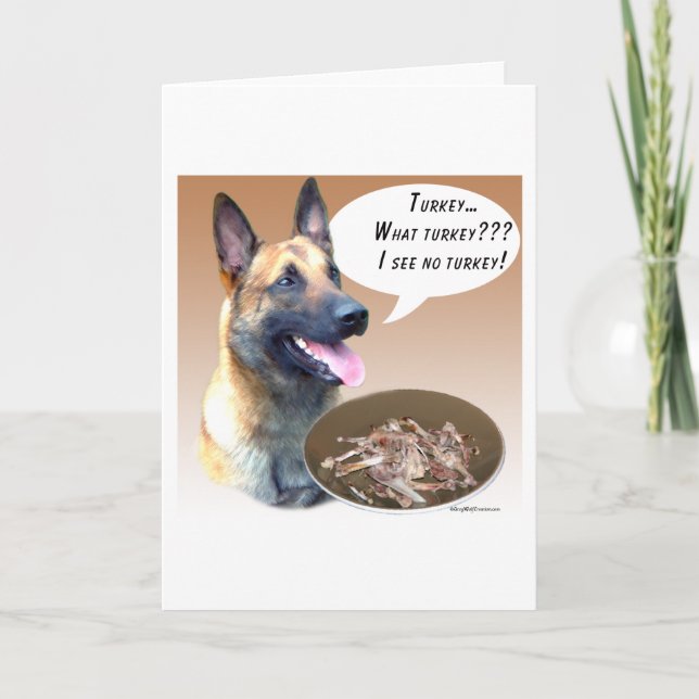 Cartão De Festividades Malinois da Bélgica (Frente)