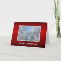 Mallard Ducks Flying Snow Photo Christmas