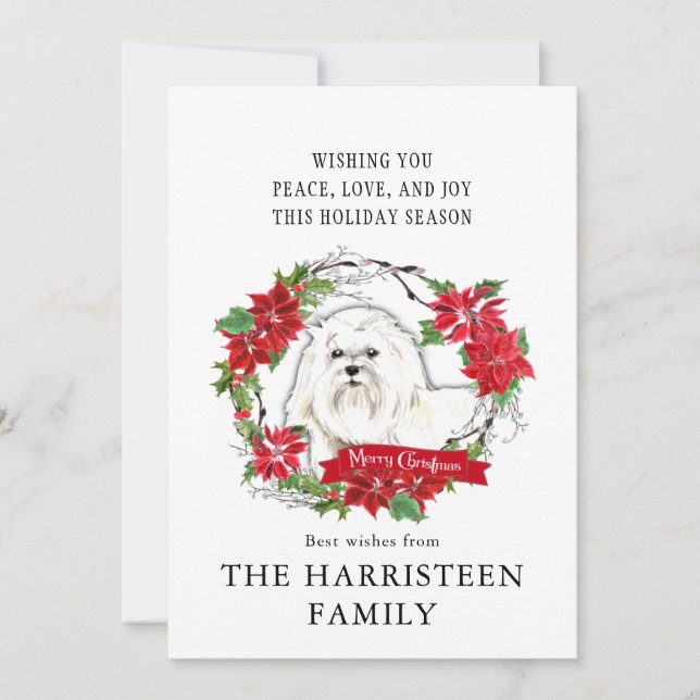 Cartão De Festividades Maltês Watercolor Poinsettia Natal (Frente)
