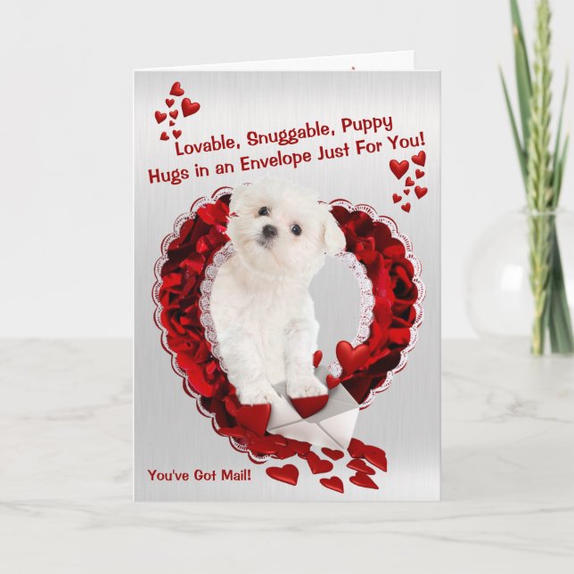 Cartão De Festividades Maltese Puppy - Super Cute You've Got Mail! (Frente)