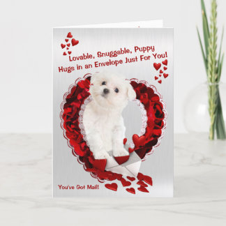 Cartão De Festividades Maltese Puppy - Super Cute You've Got Mail!