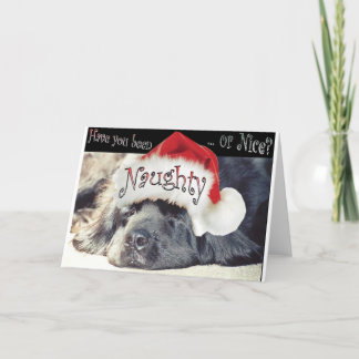 Cartão De Festividades Malvado