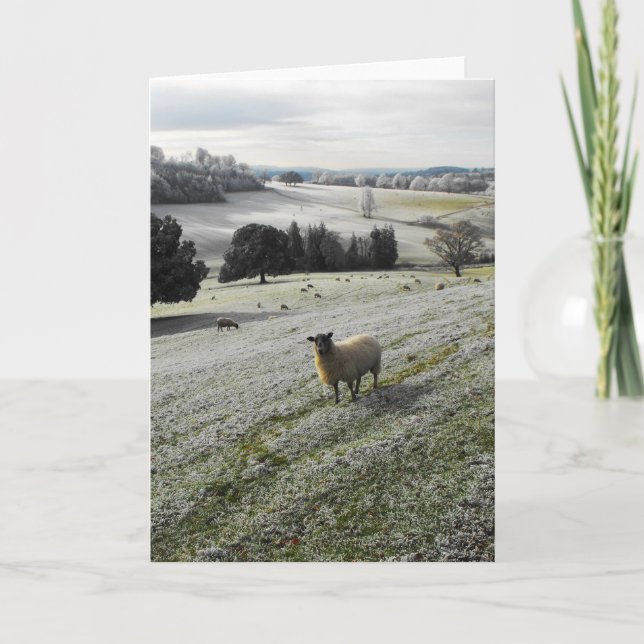 Cartão De Festividades Manhã gelada (Frente)