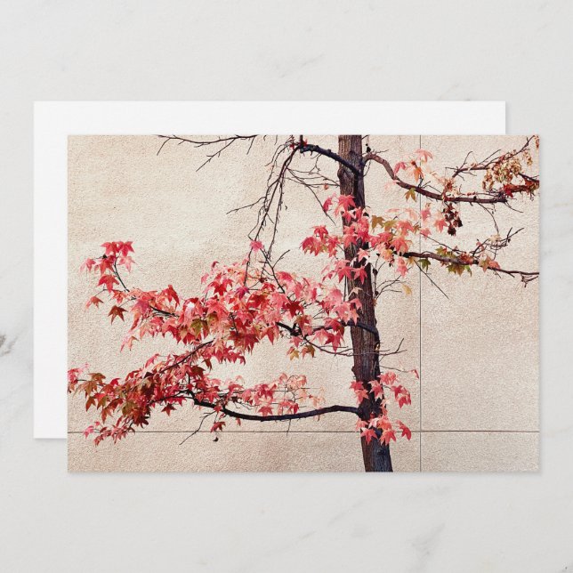 Cartão De Festividades Mapeamento (Frente/Verso)