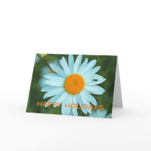 Margarida branca adorável, feriados felizes