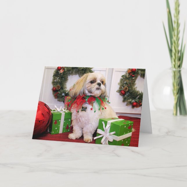 Cartão De Festividades Marley - Shih Tzu - Robbins (Frente)