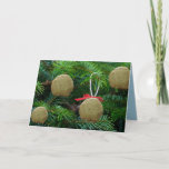 Cartão De Festividades Matzoh Ball Ornaments on Christmas Tree - Hanukah<br><div class="desc">Matzoh Balls on Christmas Tree - Funny Holiday Greeting Cards - Laughter,  Humor,  Funny</div>