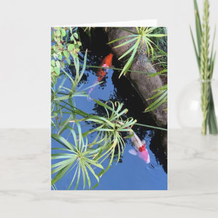 Cartão De Festividades Maui Koi Pond Blank