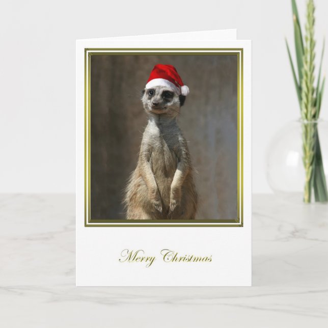 Cartão De Festividades Meerkat Christmas 2 (Frente)