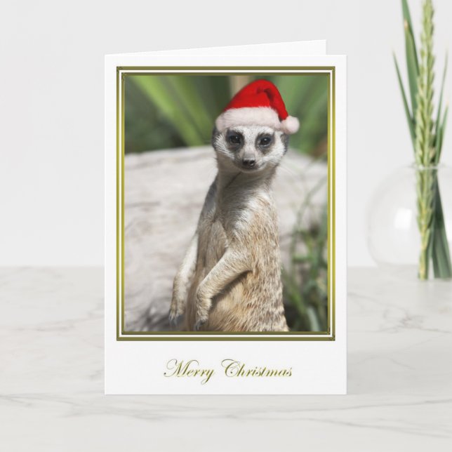 Cartão De Festividades Meerkat Christmas 4 (Frente)