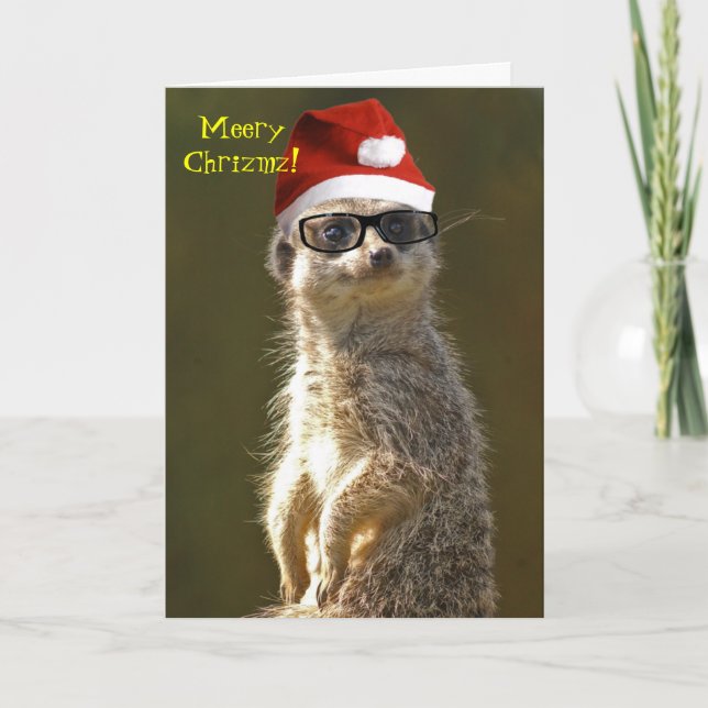 Cartão De Festividades   Meerkat Christmas Card (Frente)