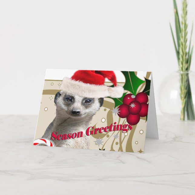 Cartão De Festividades Meerkat Christmas Cards (Frente)