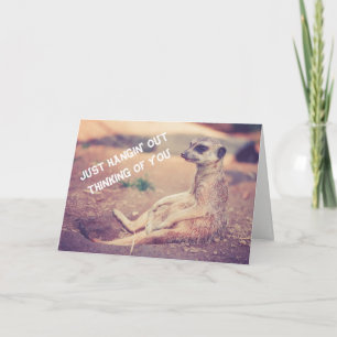Cartão De Festividades Meerkat Missing You Greeting Card