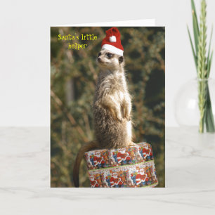 Cartão De Festividades Meerkat, Santa's little helper Card